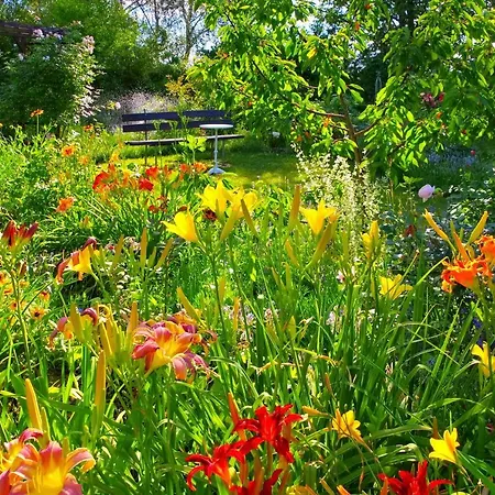 Lausitzer Seenland Freienhufen 