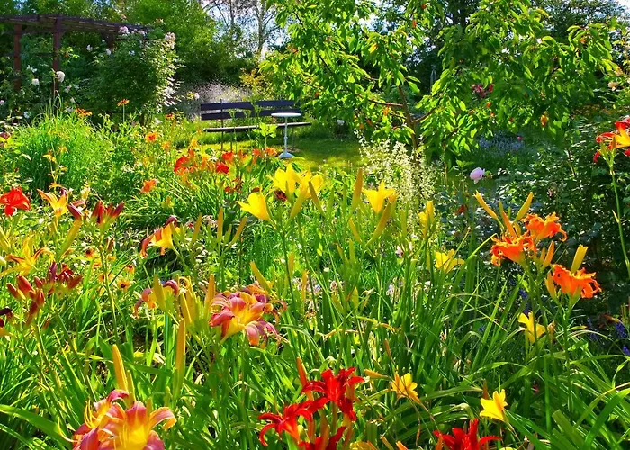 Lausitzer Seenland Freienhufen 