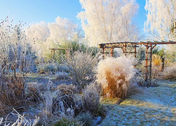 Daire Lausitzer Seenland Freienhufen 